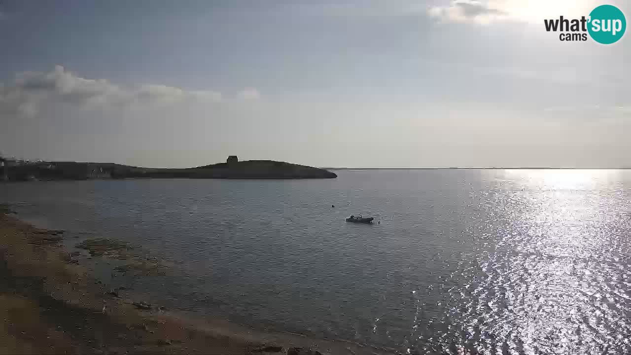 Sarchittu spletna kamera: Neposredni pogledi na osupljive plaže na Sardiniji, Italija