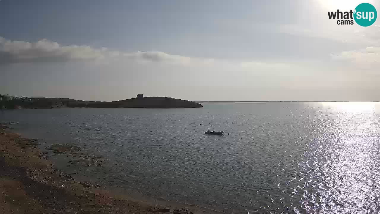 Webcam di Sarchittu: vista in tempo reale delle bellissime spiagge della Sardegna