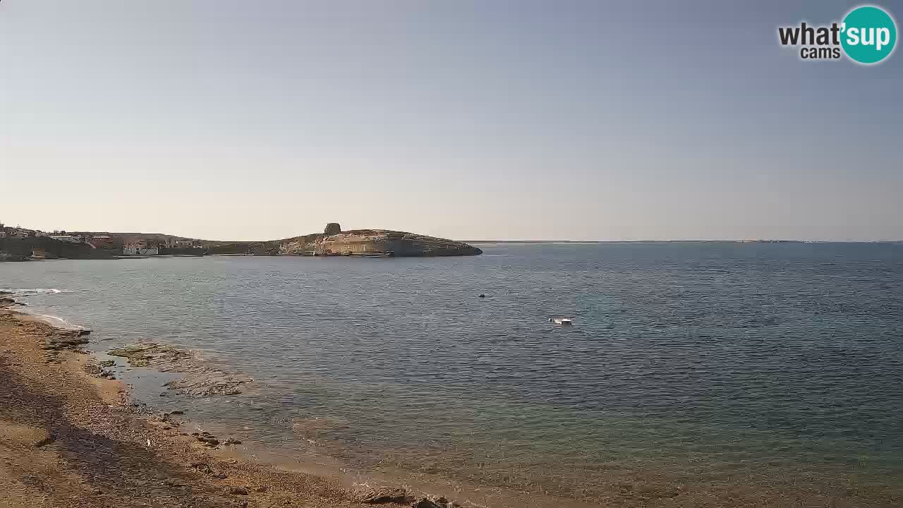 Webcam di Sarchittu: vista in tempo reale delle bellissime spiagge della Sardegna