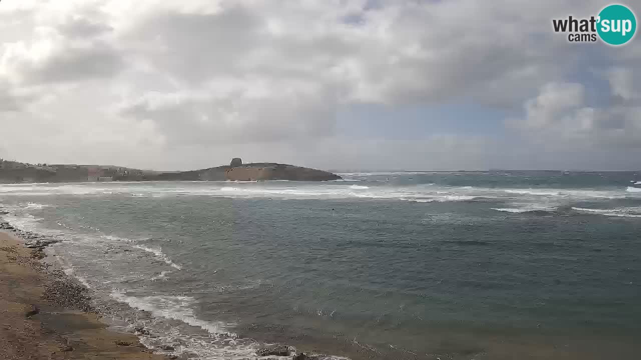 Webcam de Sarchittu : vues en direct des plages magnifiques de Sardaigne, Italie