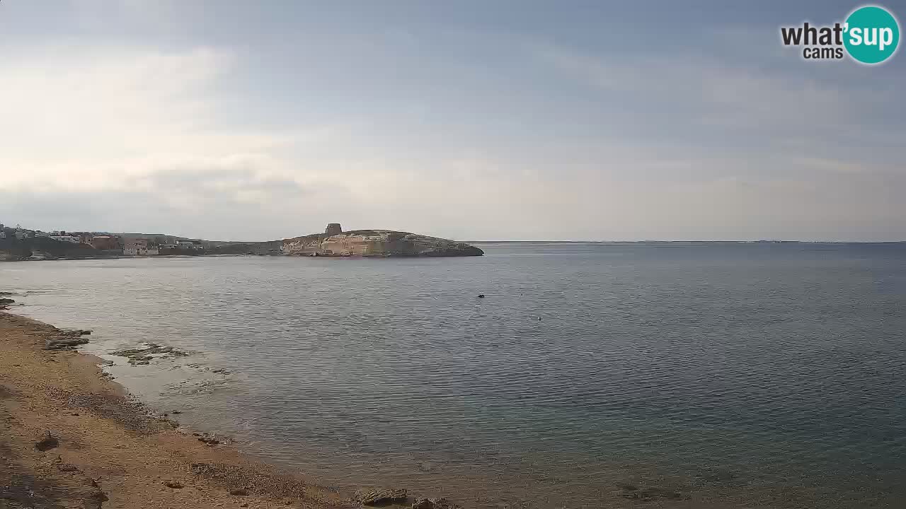 Sarchittu Web kamera: Pogled uživo na prekrasne plaže u Sardiniji, Italija