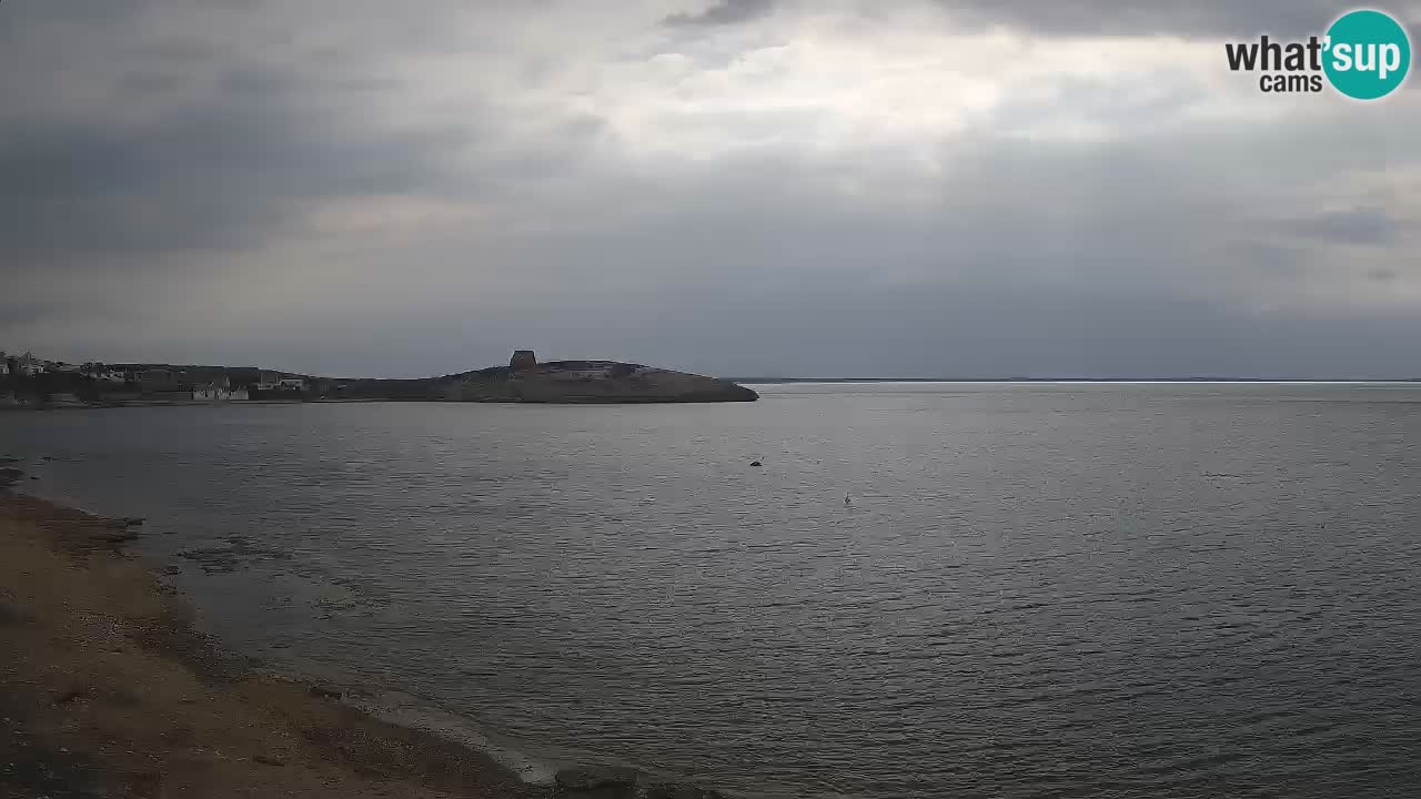 Sarchittu Web kamera: Pogled uživo na prekrasne plaže u Sardiniji, Italija