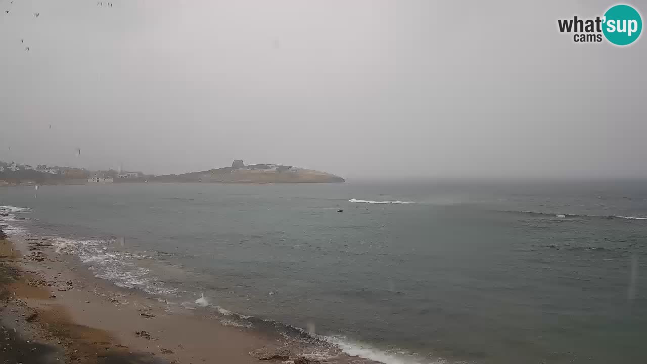 Webcam di Sarchittu: vista in tempo reale delle bellissime spiagge della Sardegna