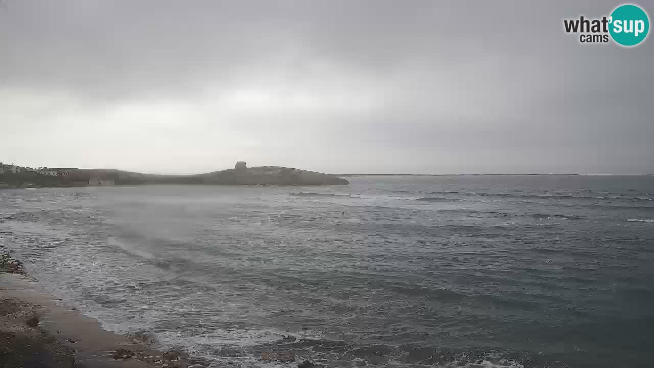 Sarchittu spletna kamera: Neposredni pogledi na osupljive plaže na Sardiniji, Italija