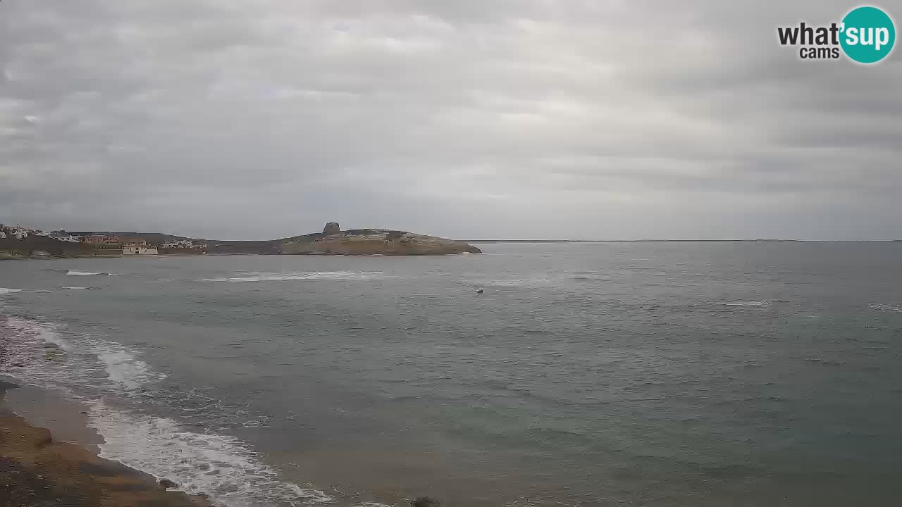 Sarchittu Web kamera: Pogled uživo na prekrasne plaže u Sardiniji, Italija