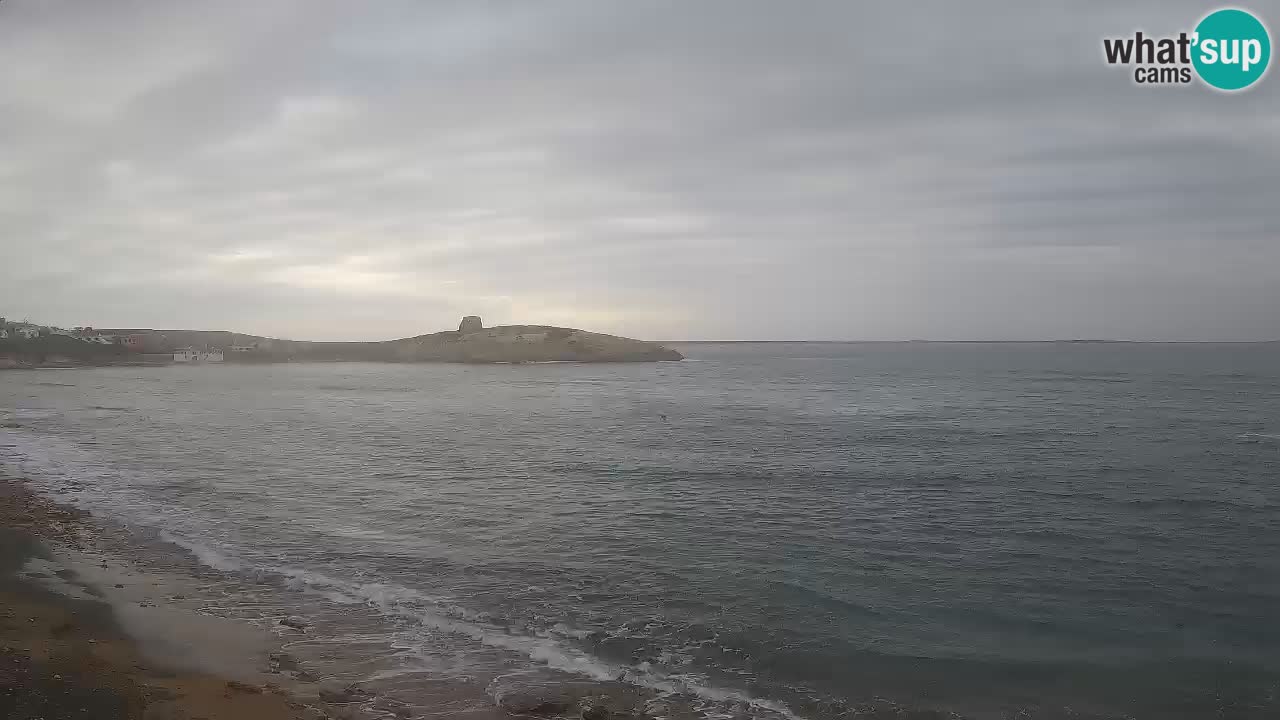 Webcam di Sarchittu: vista in tempo reale delle bellissime spiagge della Sardegna