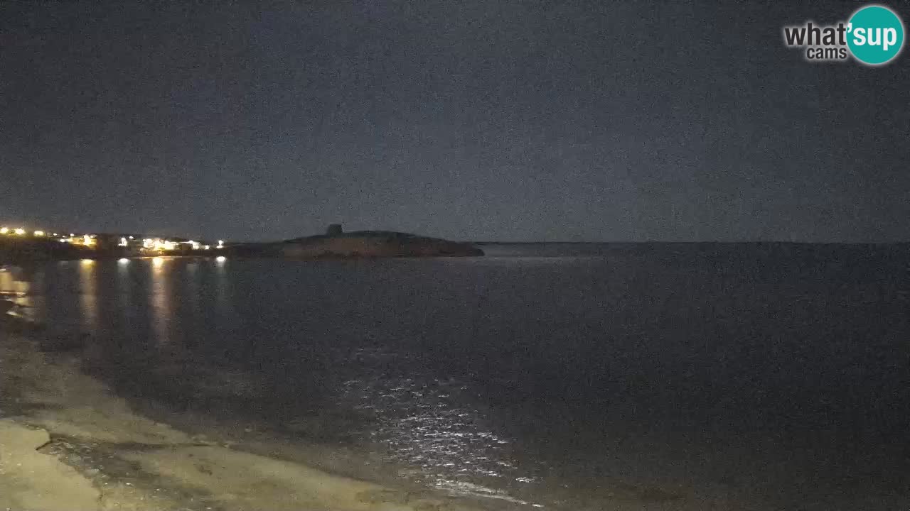 Webcam di Sarchittu: vista in tempo reale delle bellissime spiagge della Sardegna