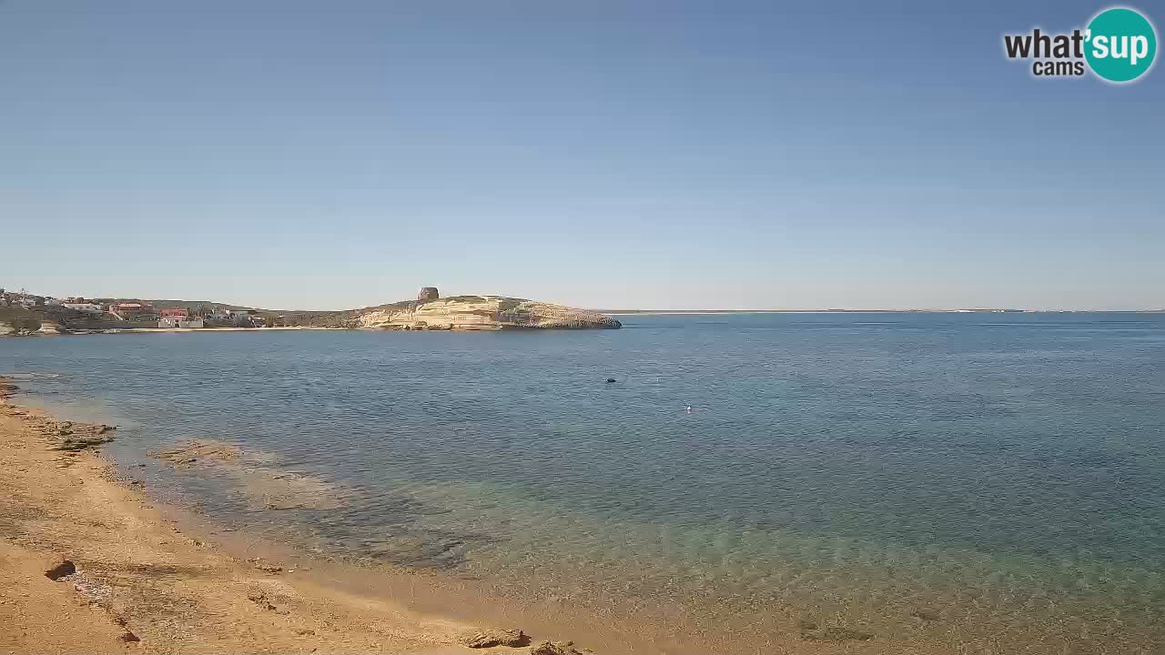 Webcam di Sarchittu: vista in tempo reale delle bellissime spiagge della Sardegna