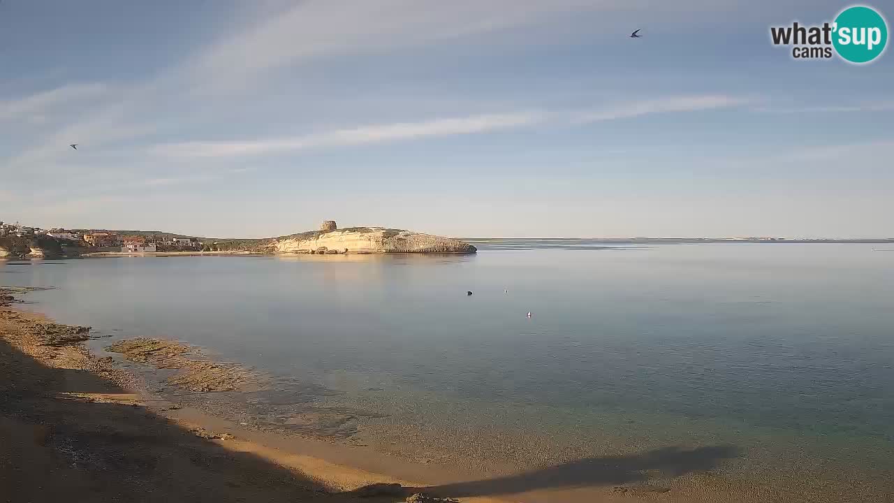 Webcam di Sarchittu: vista in tempo reale delle bellissime spiagge della Sardegna