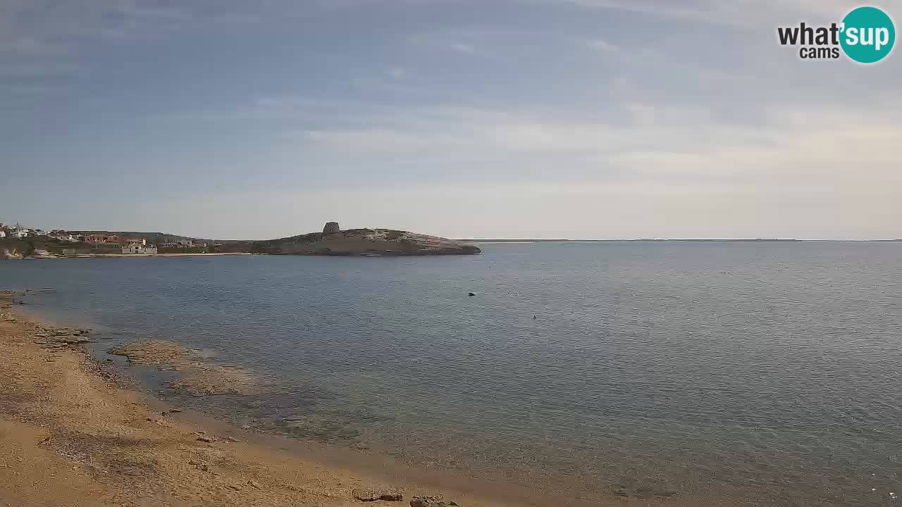 Sarchittu Webcam: Live Views of Stunning Beaches in Sardinia, Italy