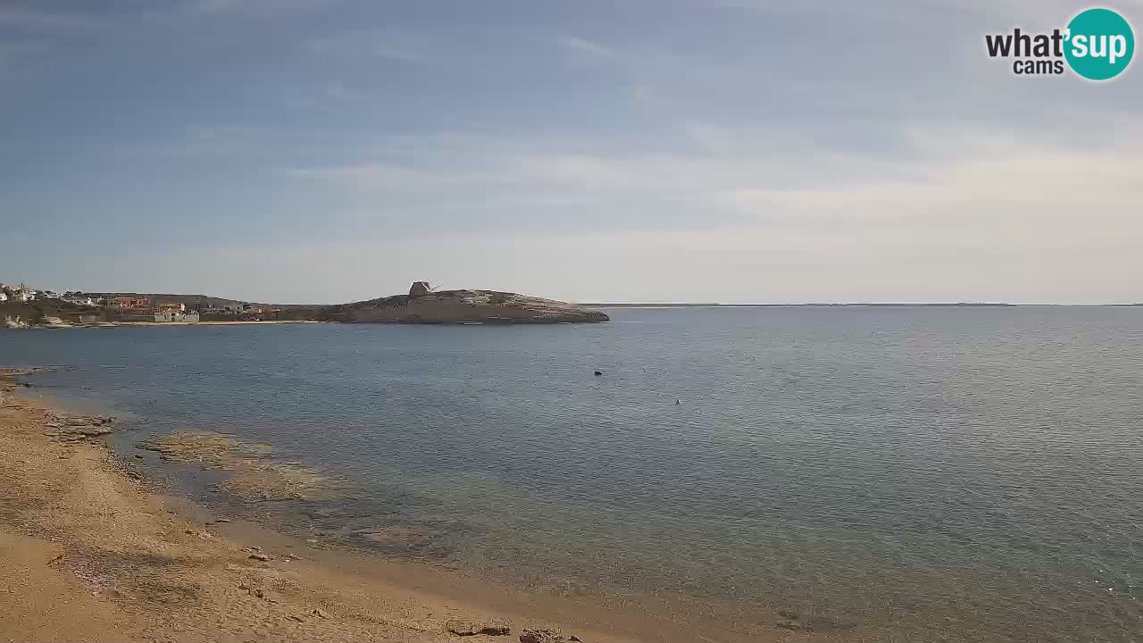 Sarchittu Webcam: Live Views of Stunning Beaches in Sardinia, Italy