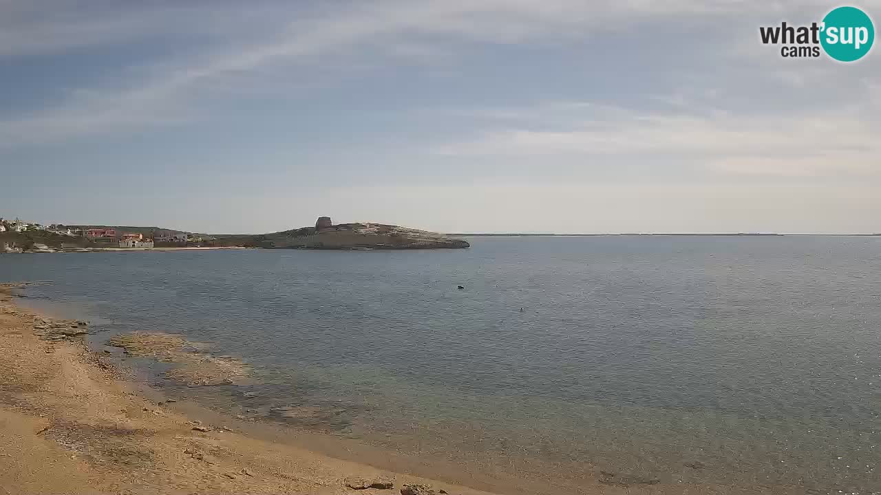 Sarchittu spletna kamera: Neposredni pogledi na osupljive plaže na Sardiniji, Italija