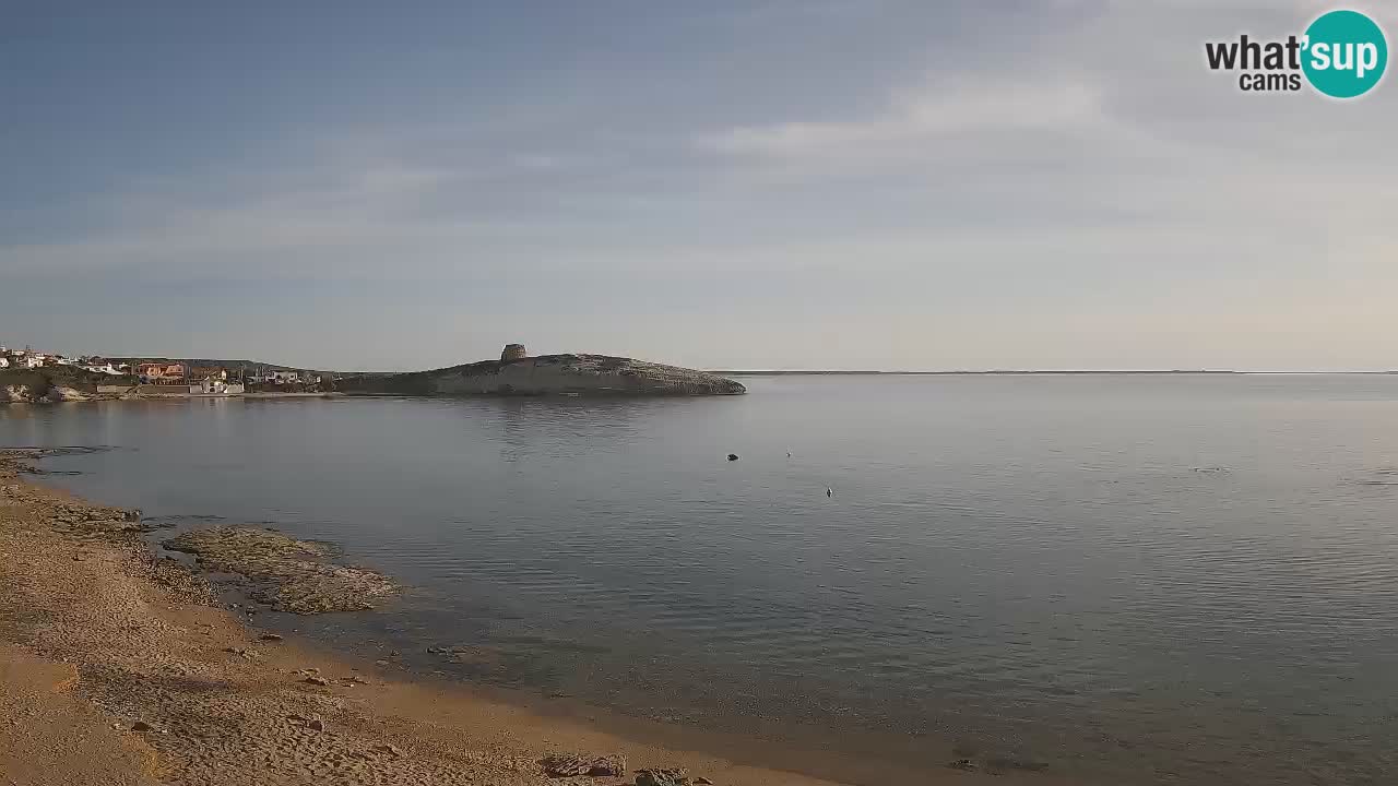 Sarchittu spletna kamera: Neposredni pogledi na osupljive plaže na Sardiniji, Italija