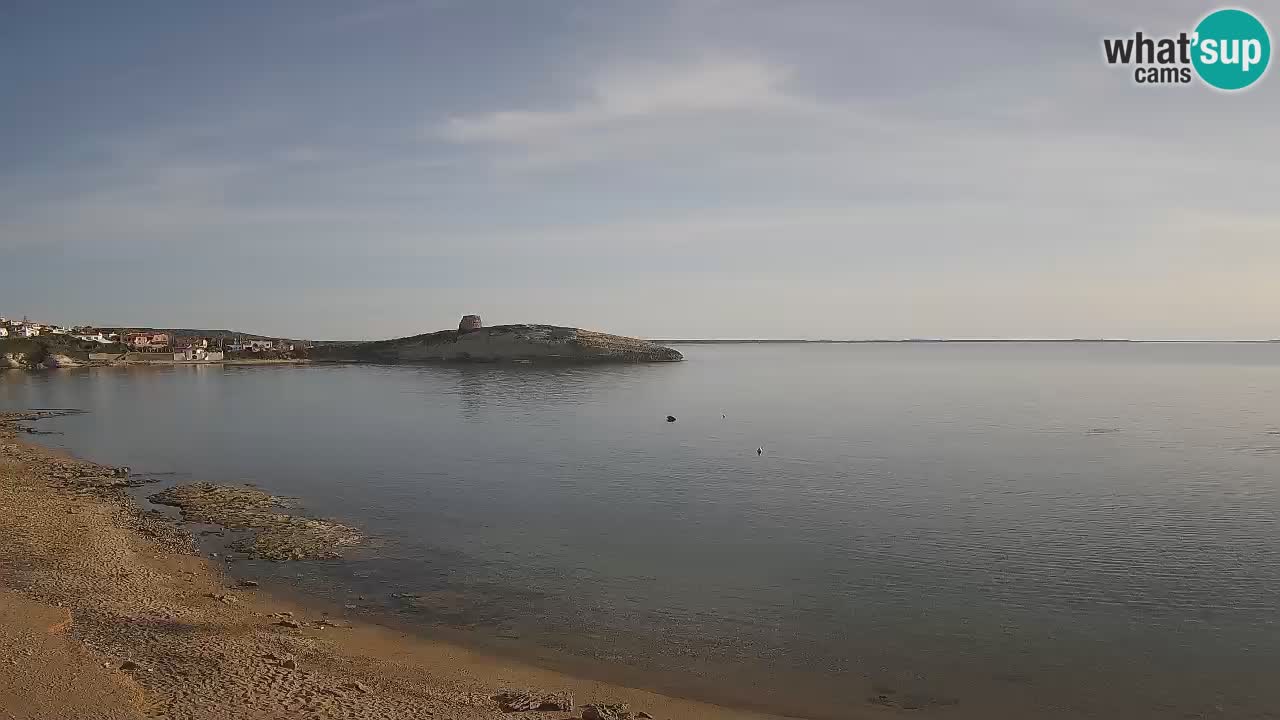 Webcam de Sarchittu : vues en direct des plages magnifiques de Sardaigne, Italie