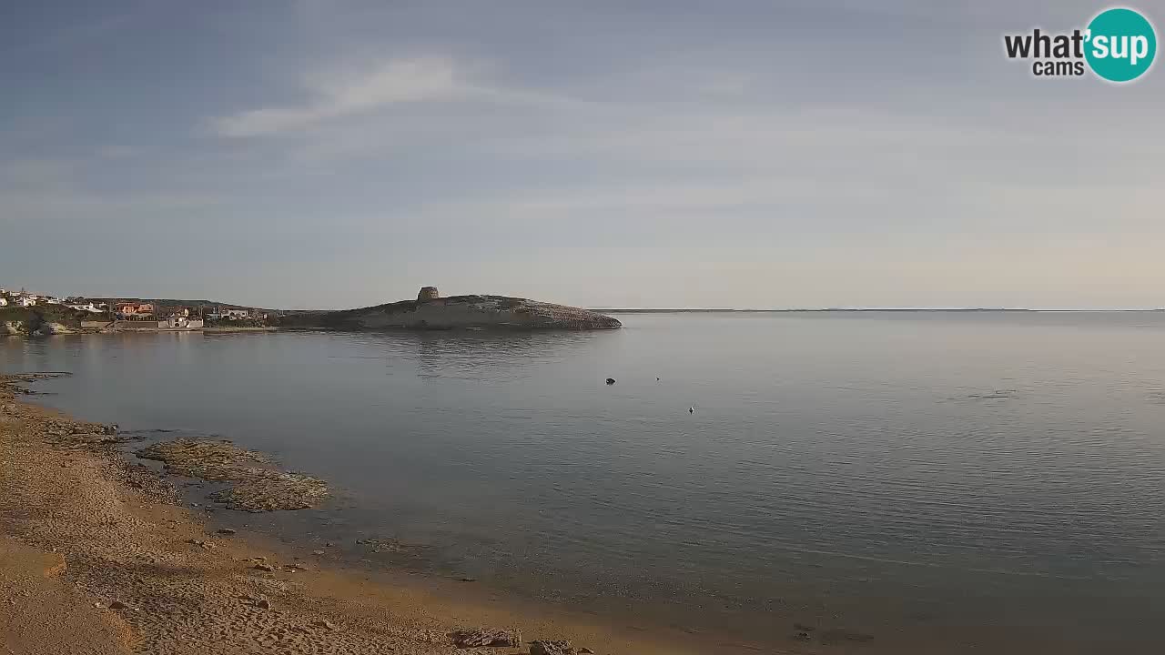 Webcam de Sarchittu : vues en direct des plages magnifiques de Sardaigne, Italie