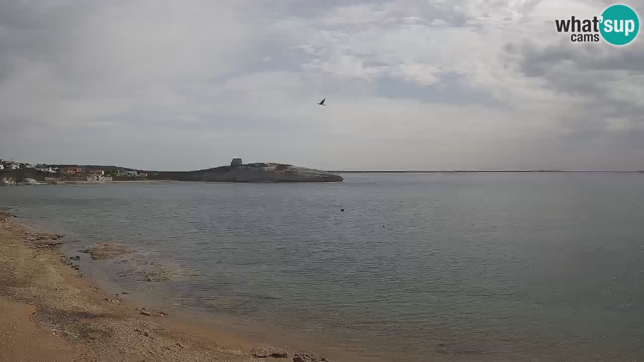 Sarchittu Webcam: Live Views of Stunning Beaches in Sardinia, Italy
