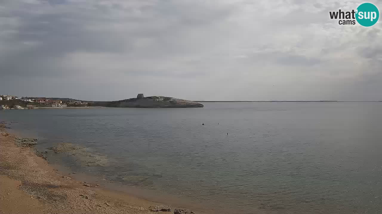 Webcam di Sarchittu: vista in tempo reale delle bellissime spiagge della Sardegna
