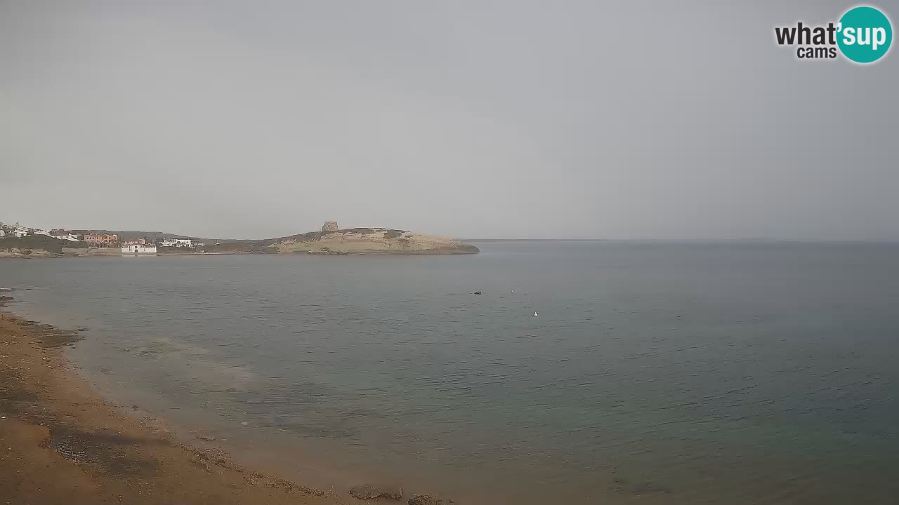 Webcam de Sarchittu : vues en direct des plages magnifiques de Sardaigne, Italie