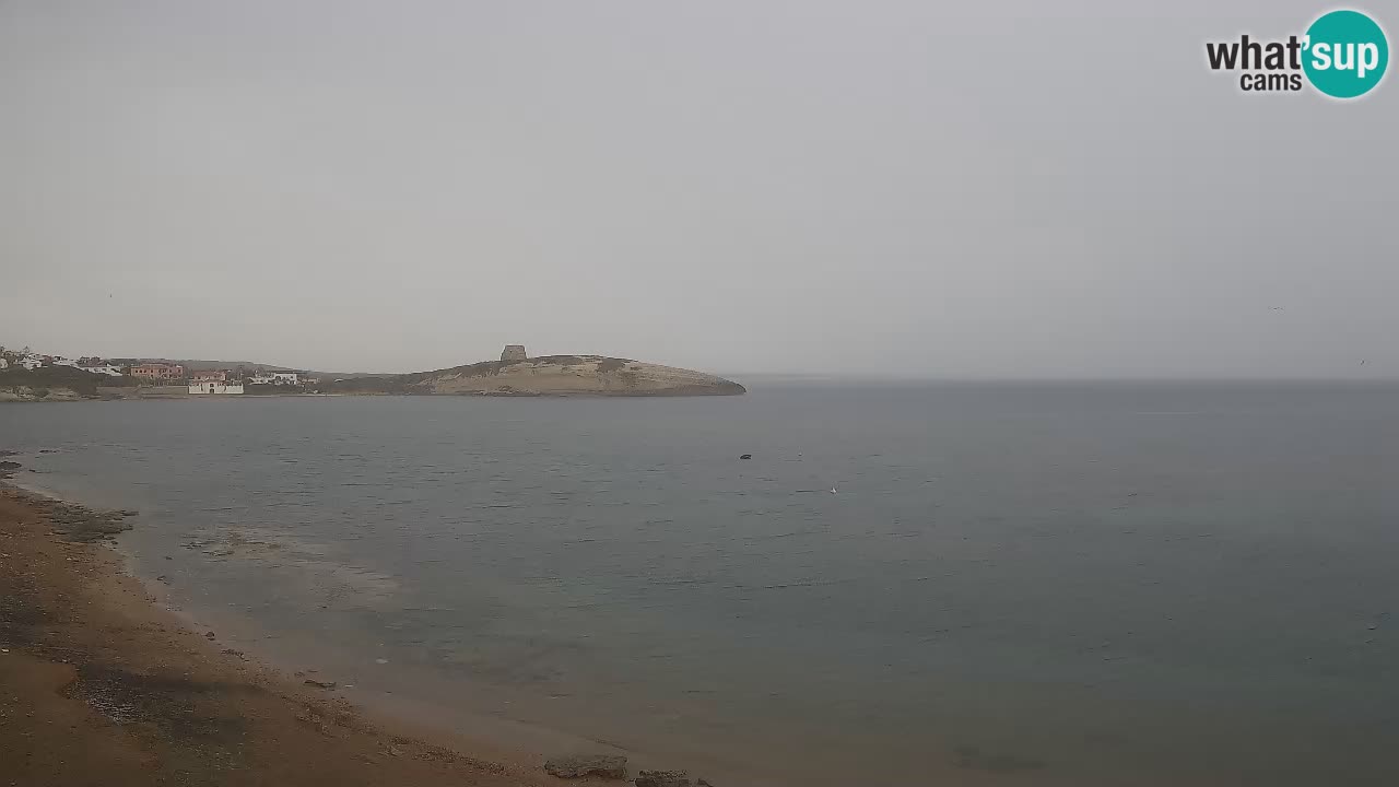 Camera en vivo Sarchittu: vistas en vivo de impresionantes playas en Cerdeña, Italia