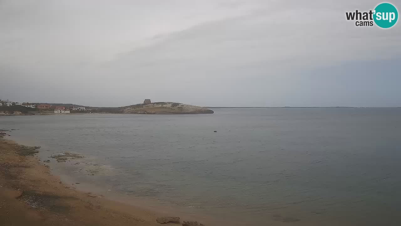 Sarchittu Web kamera: Pogled uživo na prekrasne plaže u Sardiniji, Italija