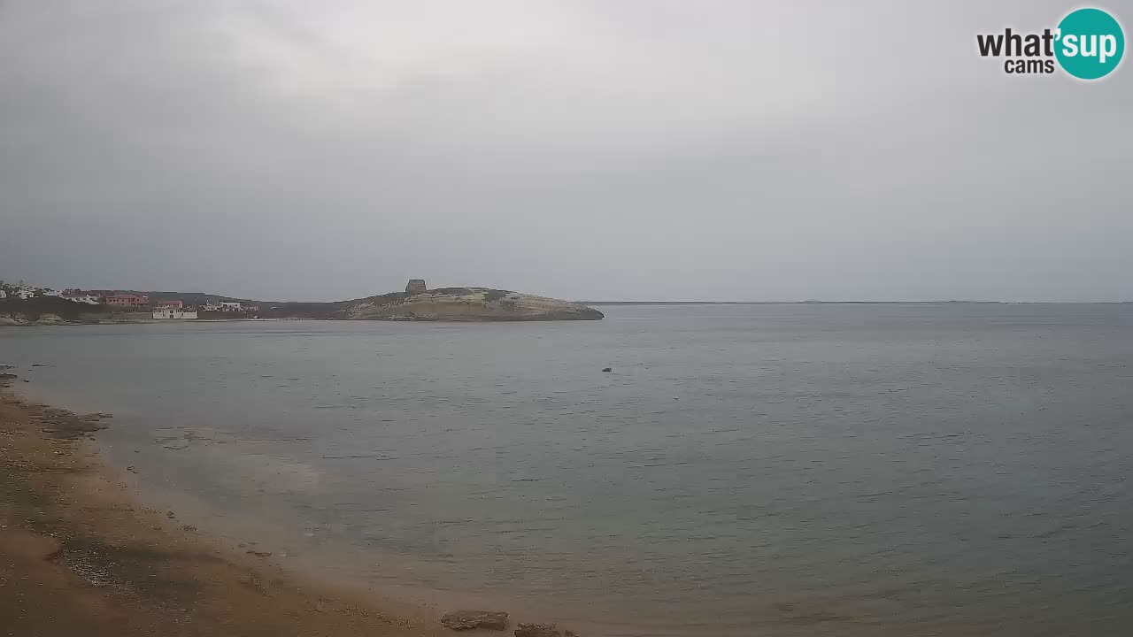 Webcam di Sarchittu: vista in tempo reale delle bellissime spiagge della Sardegna