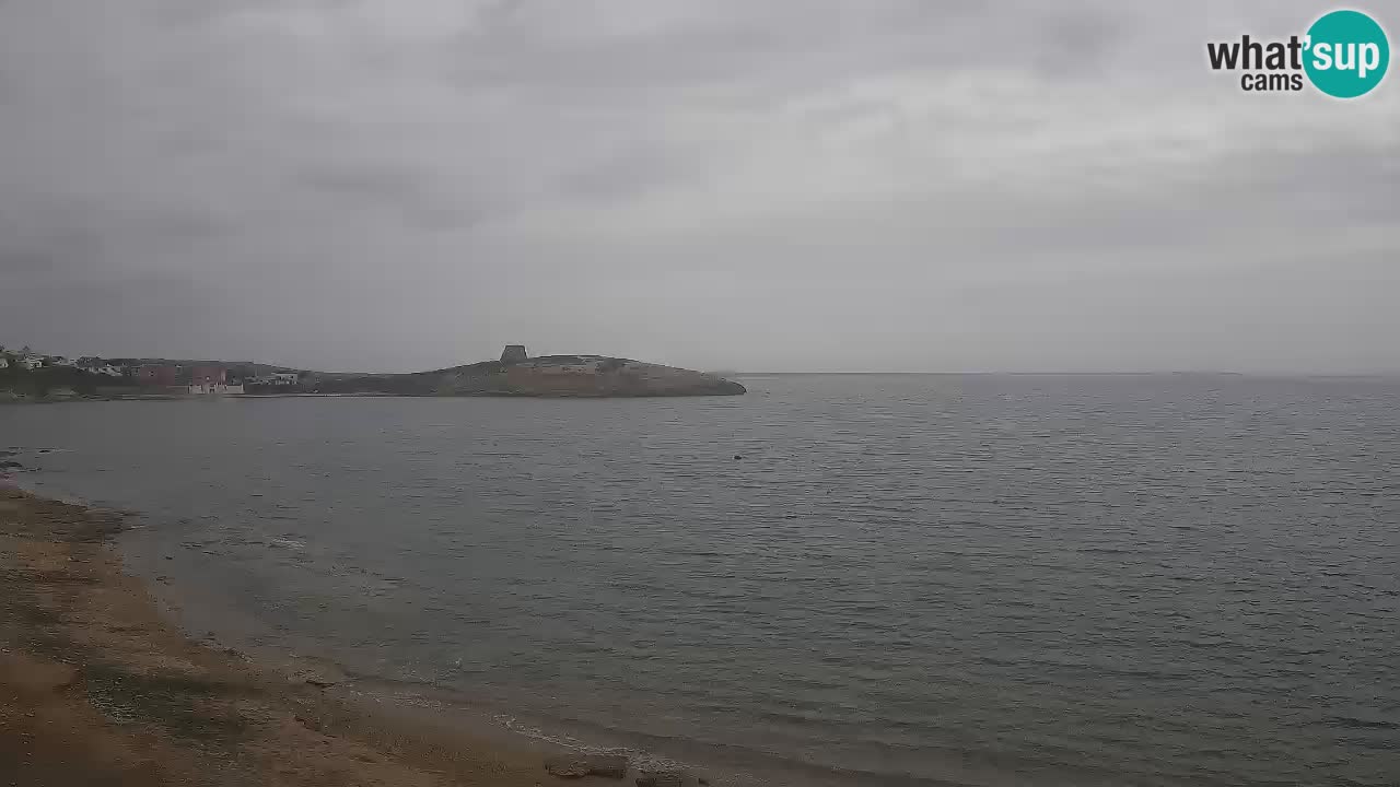Webcam di Sarchittu: vista in tempo reale delle bellissime spiagge della Sardegna