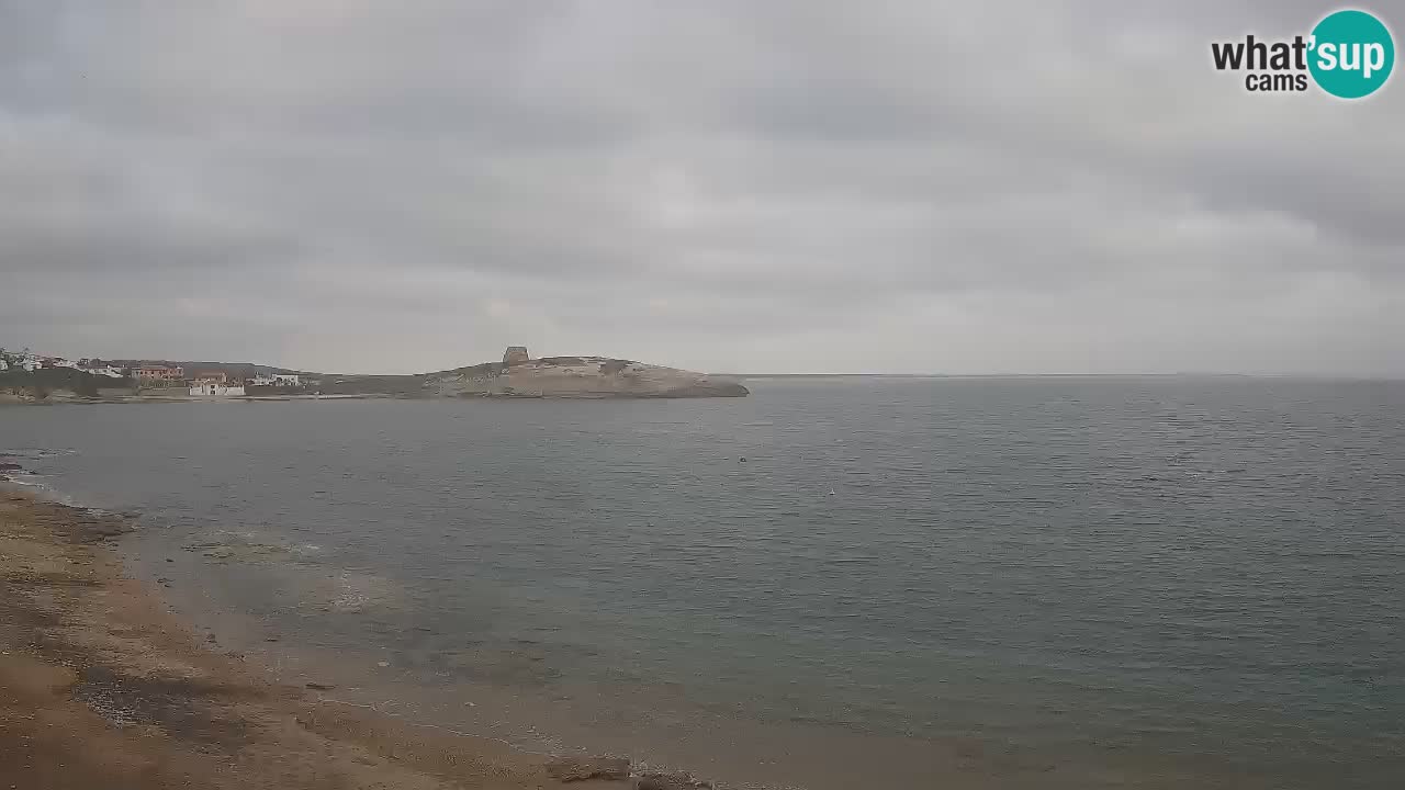 Webcam di Sarchittu: vista in tempo reale delle bellissime spiagge della Sardegna