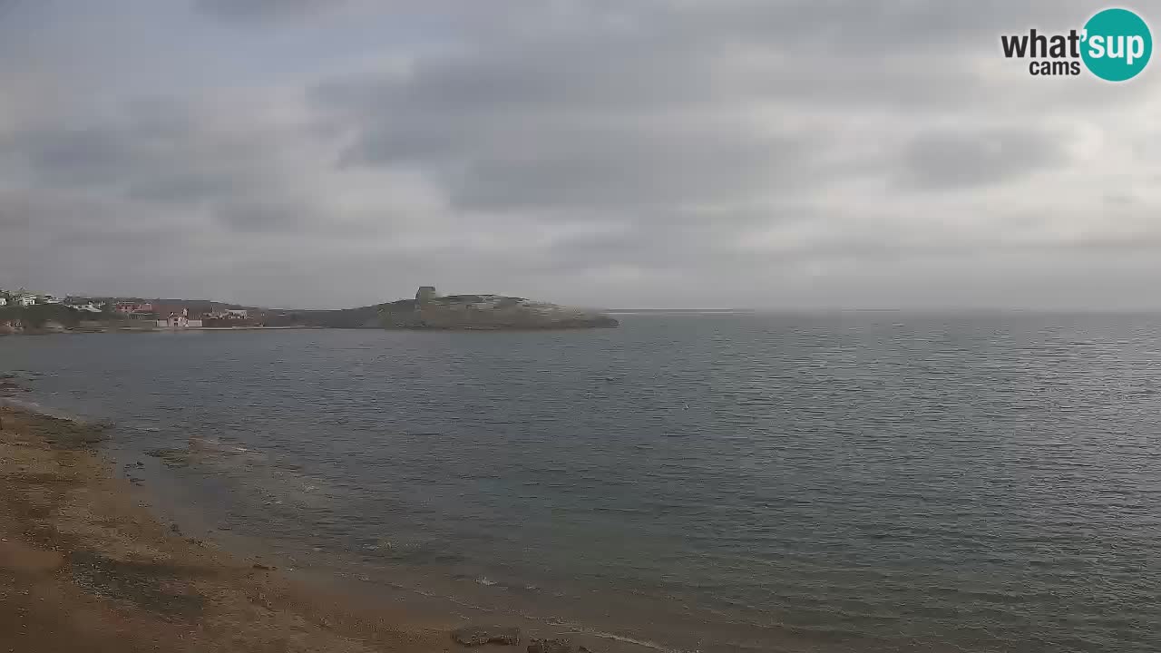 Webcam di Sarchittu: vista in tempo reale delle bellissime spiagge della Sardegna