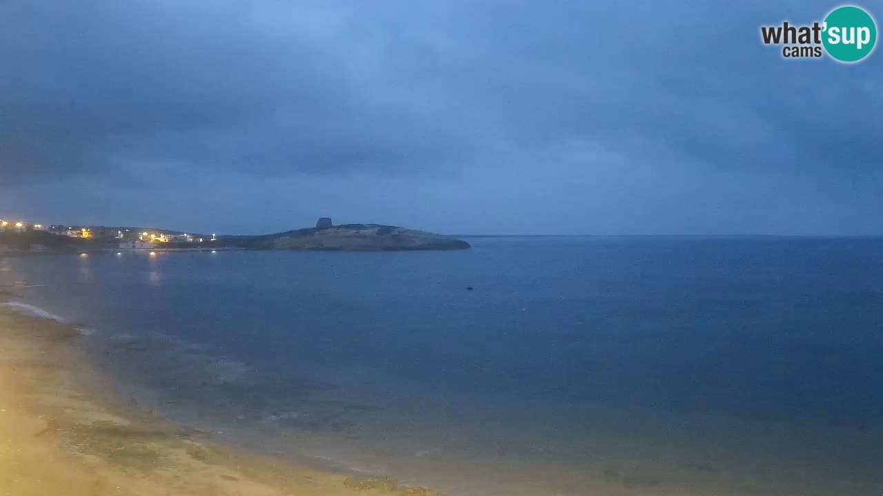 Webcam di Sarchittu: vista in tempo reale delle bellissime spiagge della Sardegna