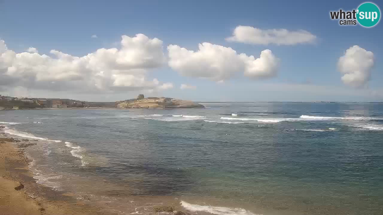 Webcam di Sarchittu: vista in tempo reale delle bellissime spiagge della Sardegna