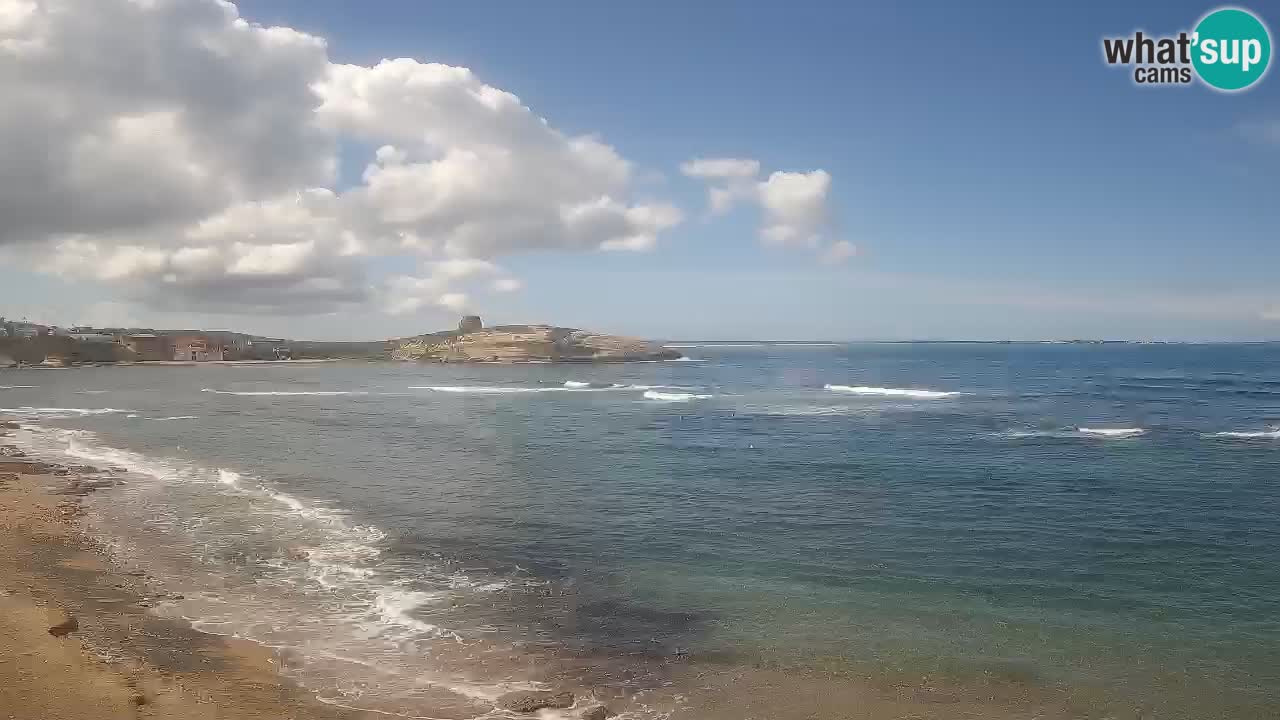 Webcam di Sarchittu: vista in tempo reale delle bellissime spiagge della Sardegna