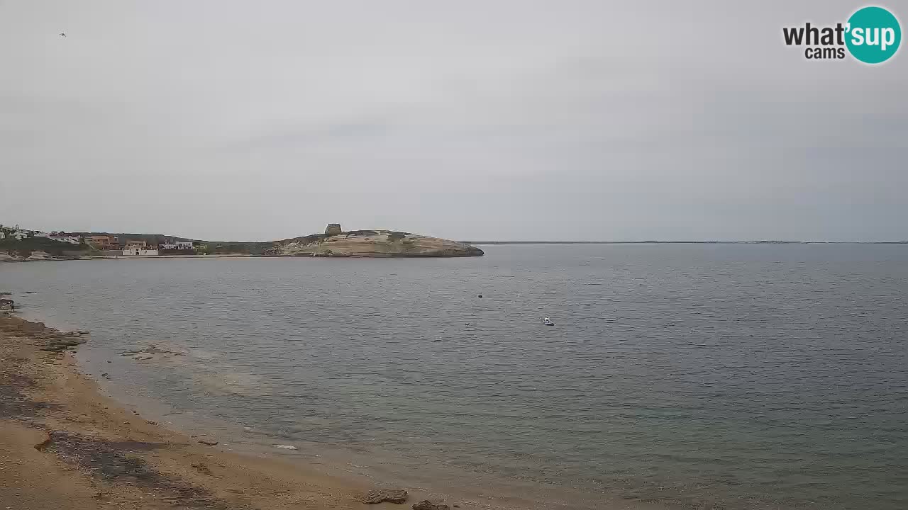 Sarchittu Webcam: Live Views of Stunning Beaches in Sardinia, Italy