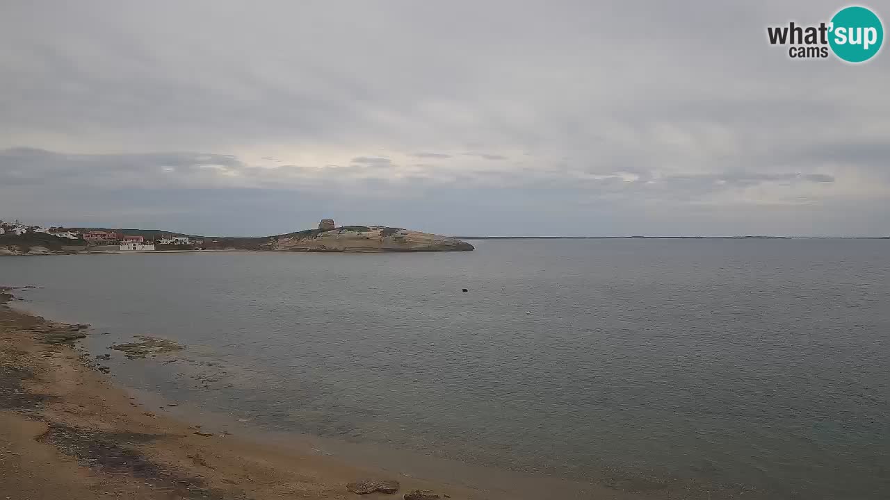 Webcam di Sarchittu: vista in tempo reale delle bellissime spiagge della Sardegna
