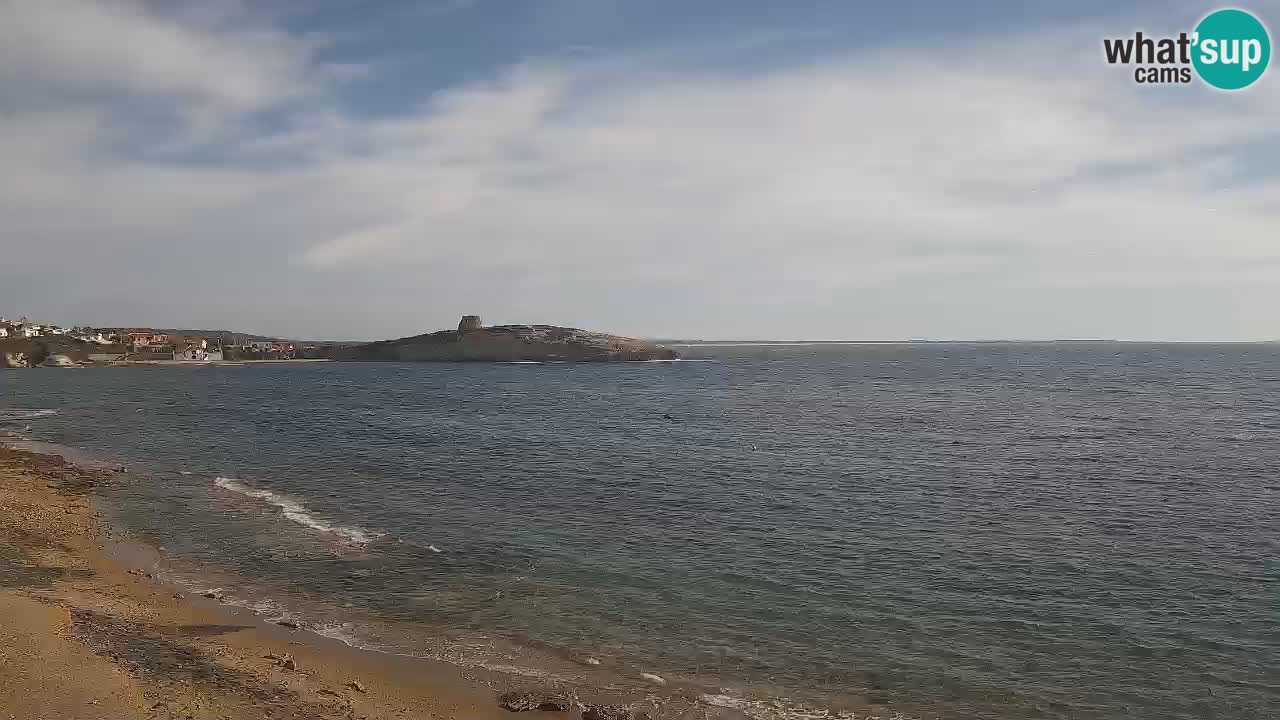Webcam di Sarchittu: vista in tempo reale delle bellissime spiagge della Sardegna