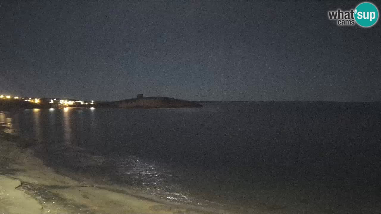 Sarchittu spletna kamera: Neposredni pogledi na osupljive plaže na Sardiniji, Italija