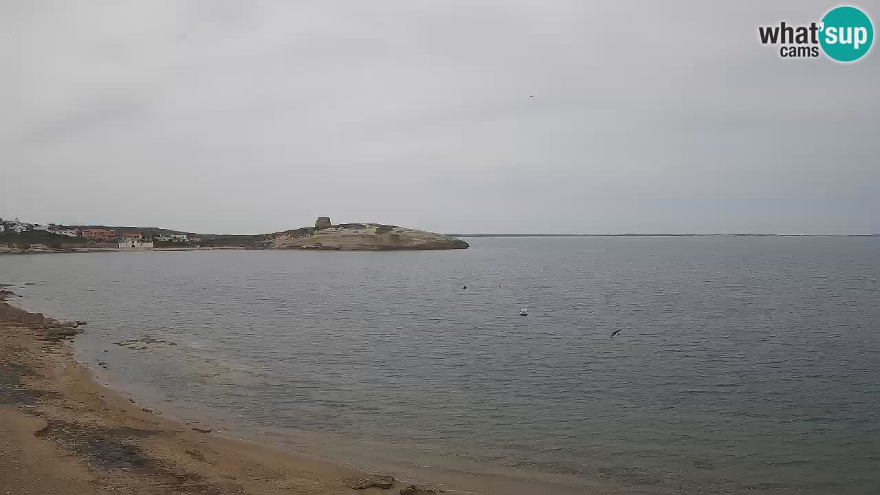 Sarchittu Webcam: Live Views of Stunning Beaches in Sardinia, Italy