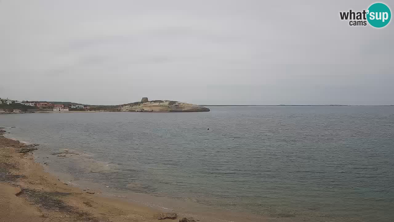 Webcam di Sarchittu: vista in tempo reale delle bellissime spiagge della Sardegna