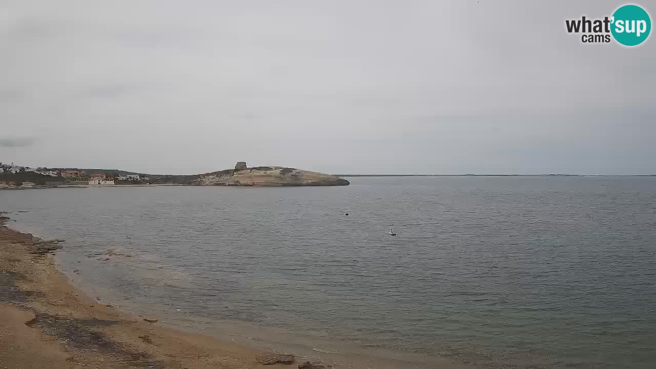 Sarchittu spletna kamera: Neposredni pogledi na osupljive plaže na Sardiniji, Italija