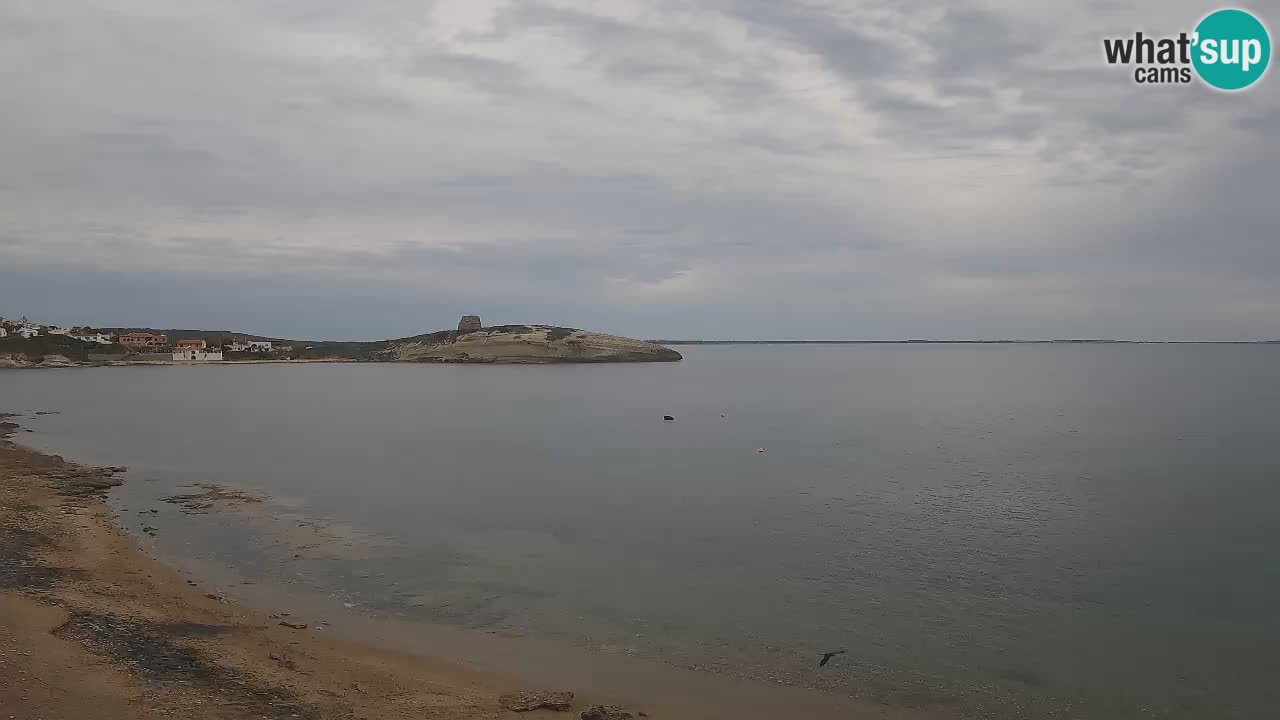 Camera en vivo Sarchittu: vistas en vivo de impresionantes playas en Cerdeña, Italia