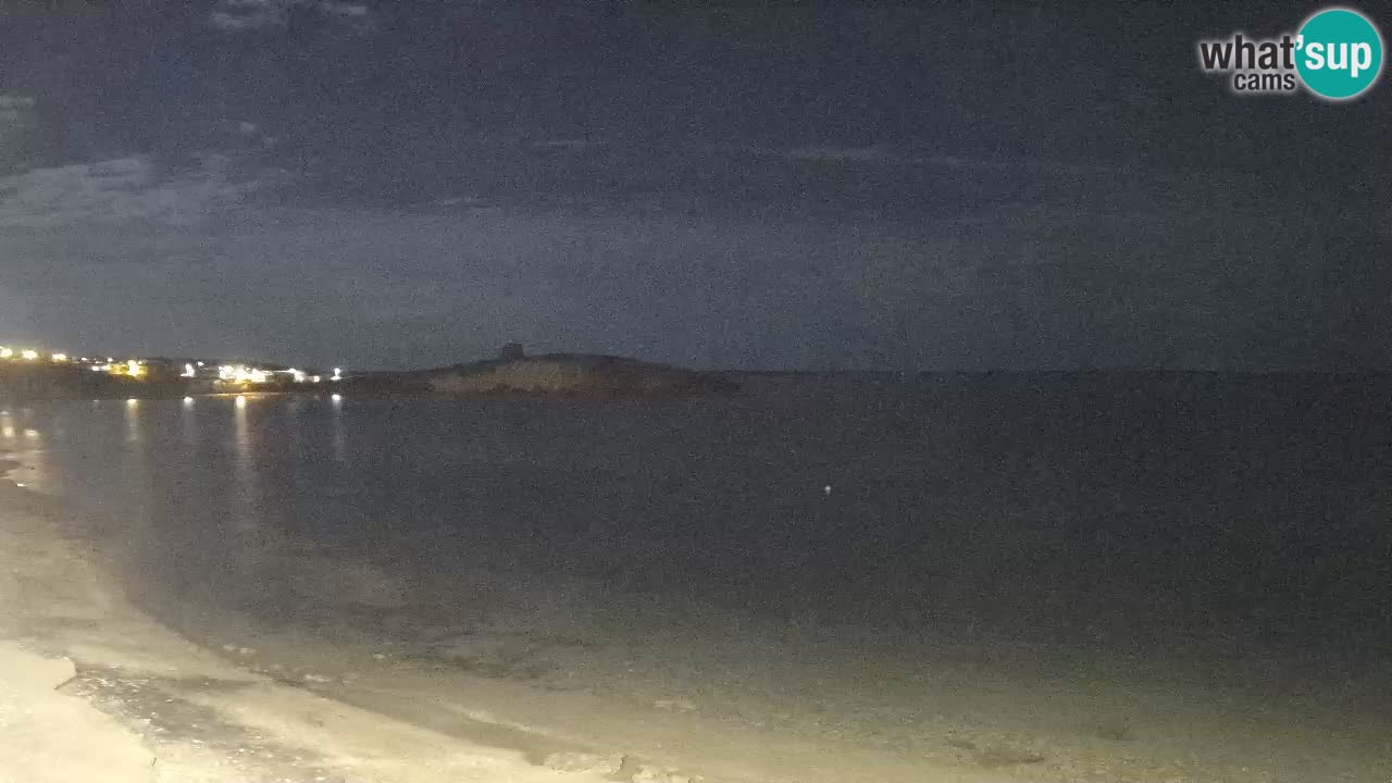 Webcam di Sarchittu: vista in tempo reale delle bellissime spiagge della Sardegna
