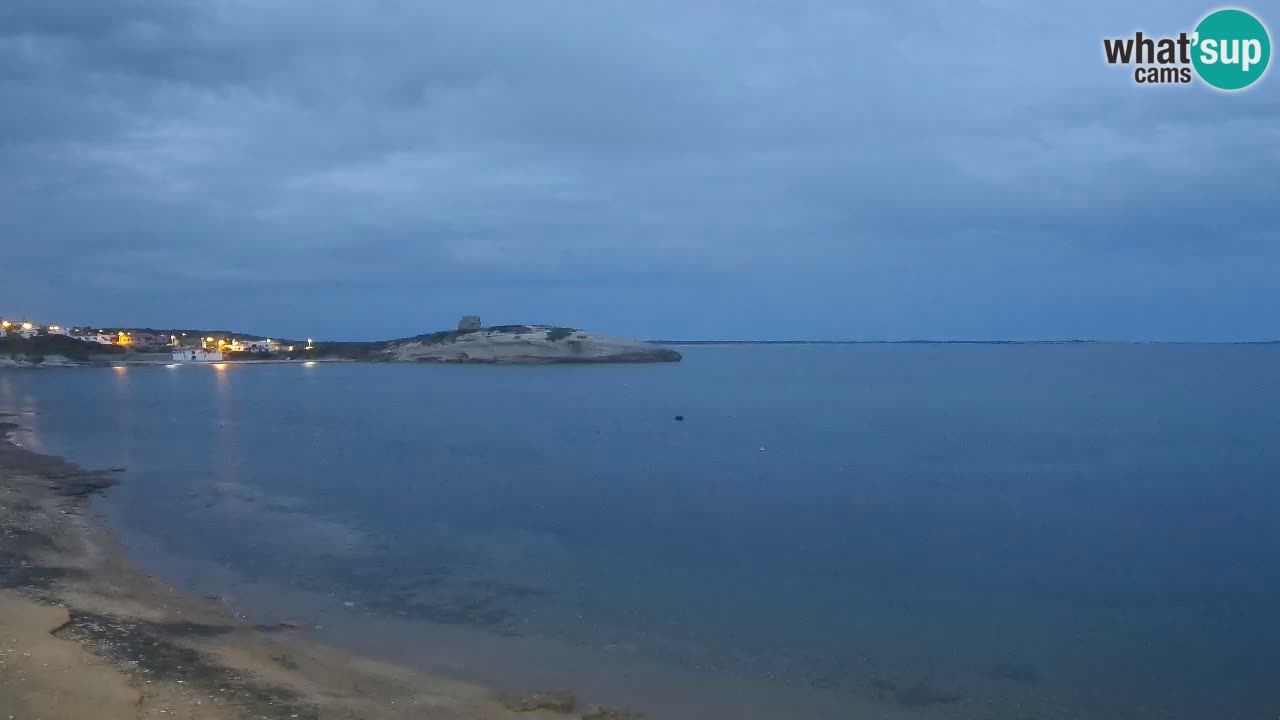 Webcam di Sarchittu: vista in tempo reale delle bellissime spiagge della Sardegna