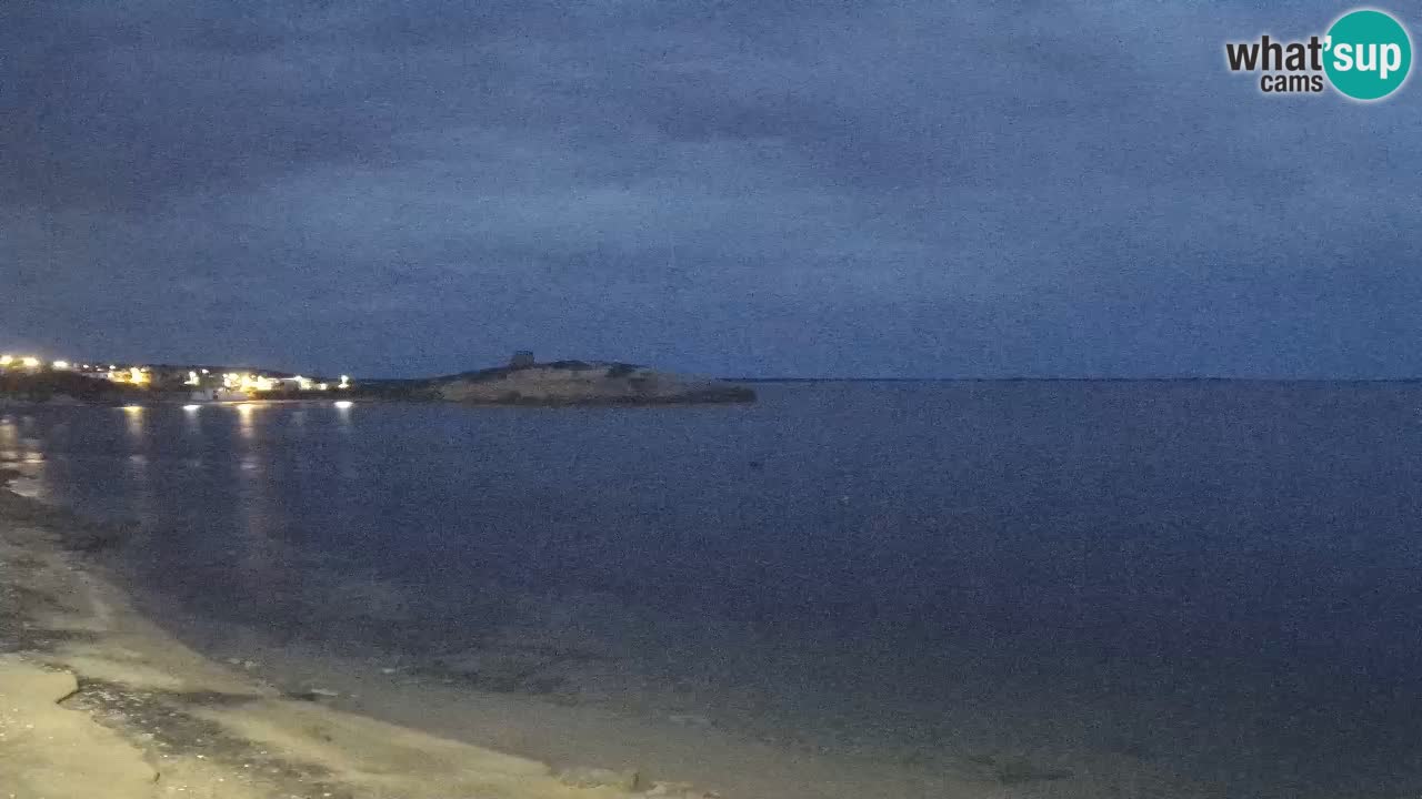 Webcam di Sarchittu: vista in tempo reale delle bellissime spiagge della Sardegna