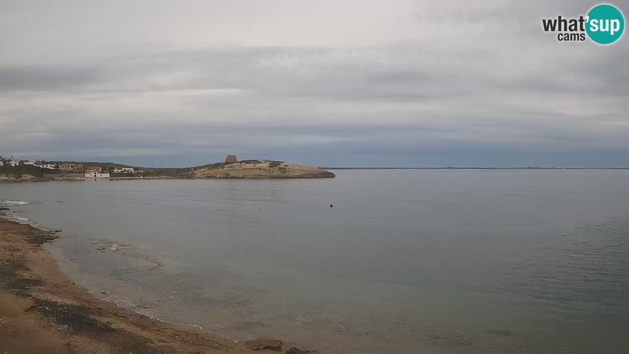 Webcam di Sarchittu: vista in tempo reale delle bellissime spiagge della Sardegna