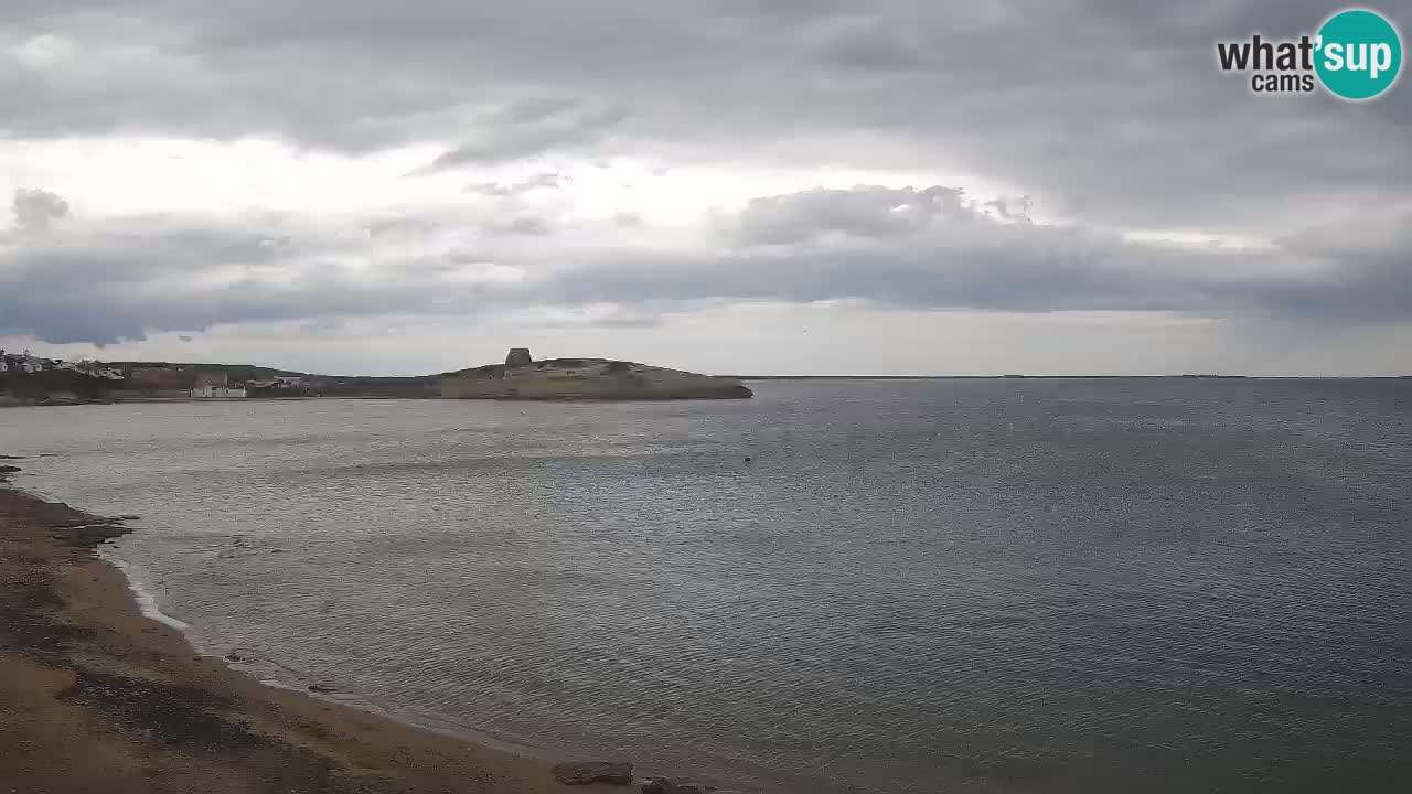 Webcam di Sarchittu: vista in tempo reale delle bellissime spiagge della Sardegna