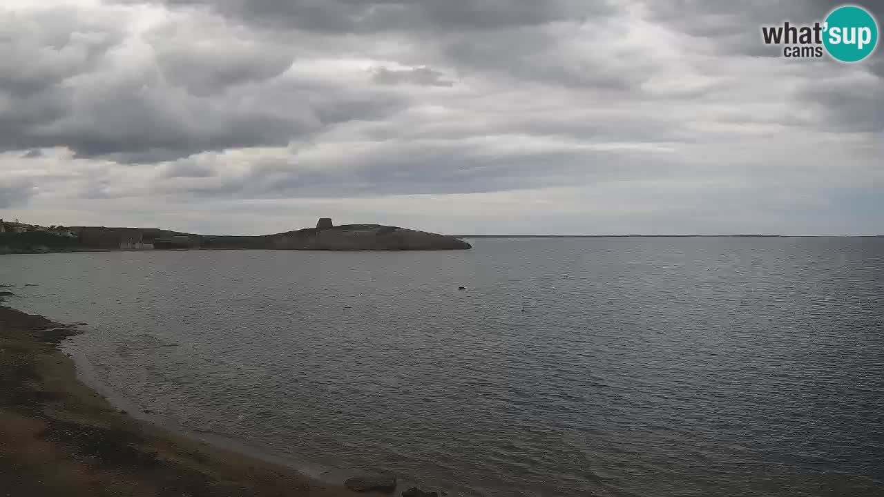 Webcam de Sarchittu : vues en direct des plages magnifiques de Sardaigne, Italie