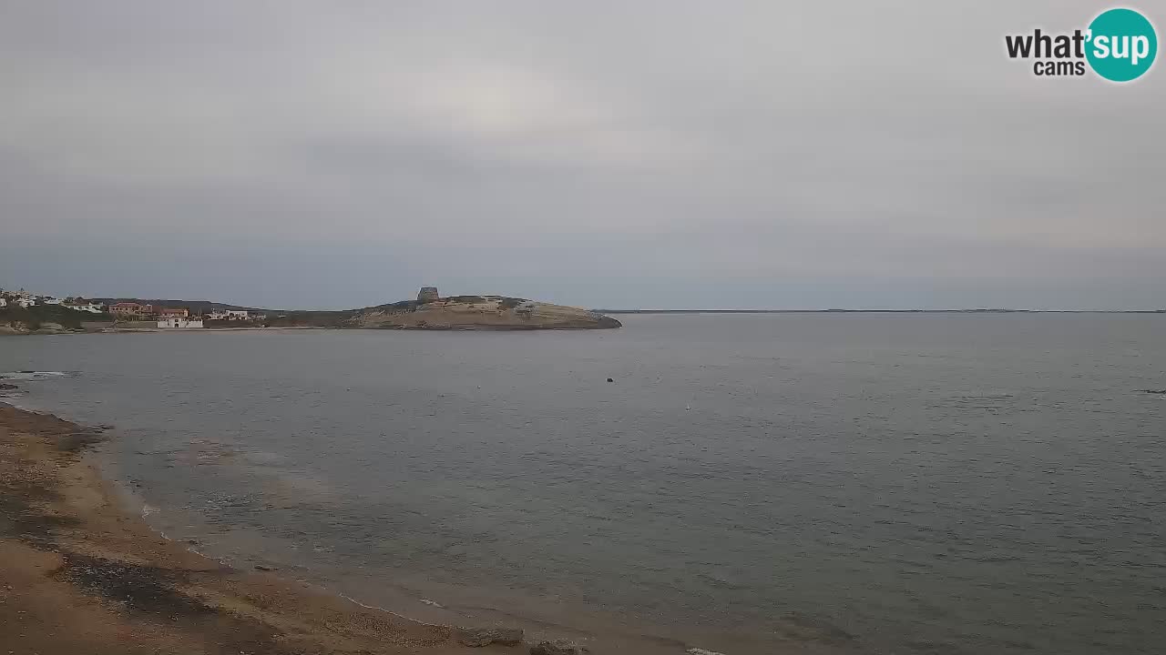 Webcam de Sarchittu : vues en direct des plages magnifiques de Sardaigne, Italie