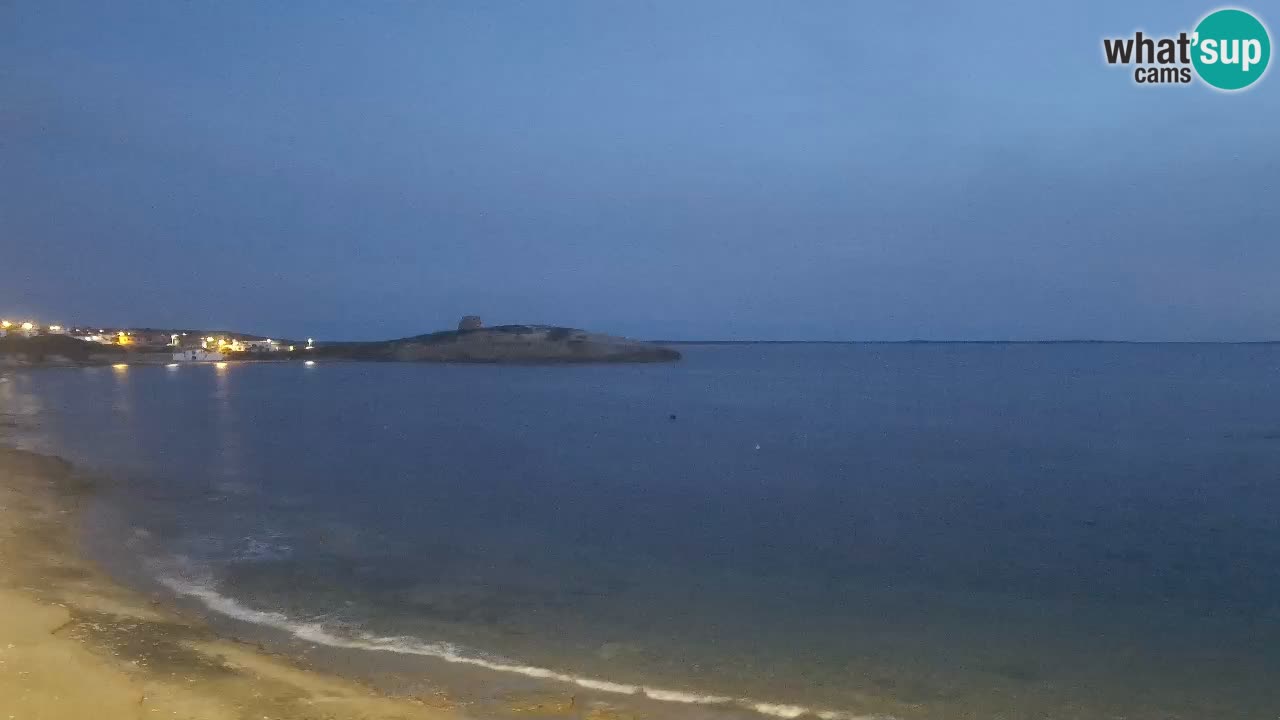 Sarchittu spletna kamera: Neposredni pogledi na osupljive plaže na Sardiniji, Italija
