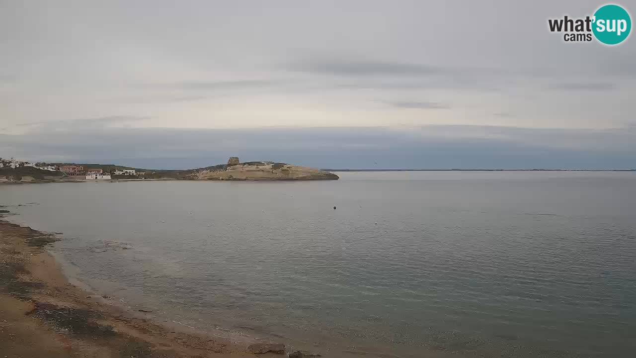 Webcam di Sarchittu: vista in tempo reale delle bellissime spiagge della Sardegna