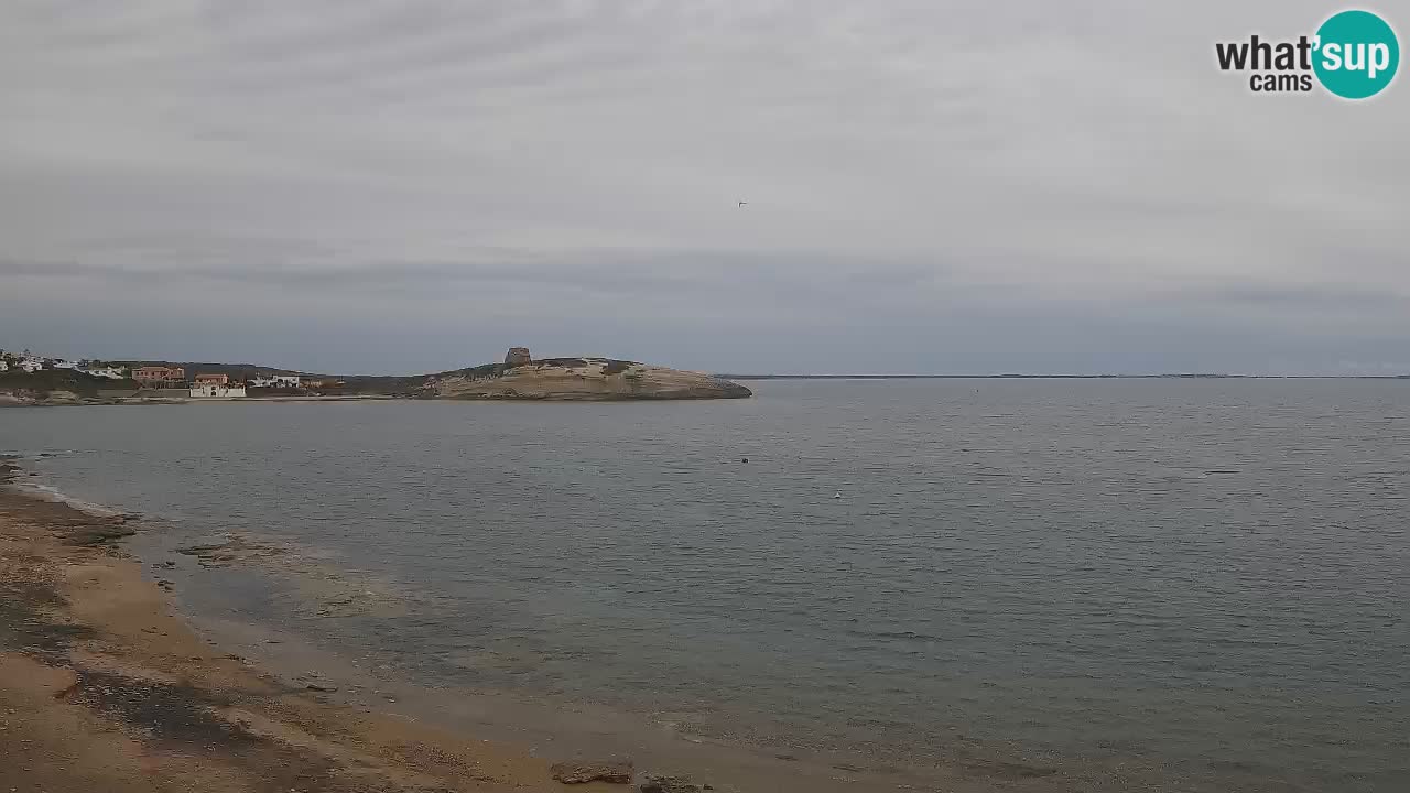 Sarchittu Webcam: Live Views of Stunning Beaches in Sardinia, Italy