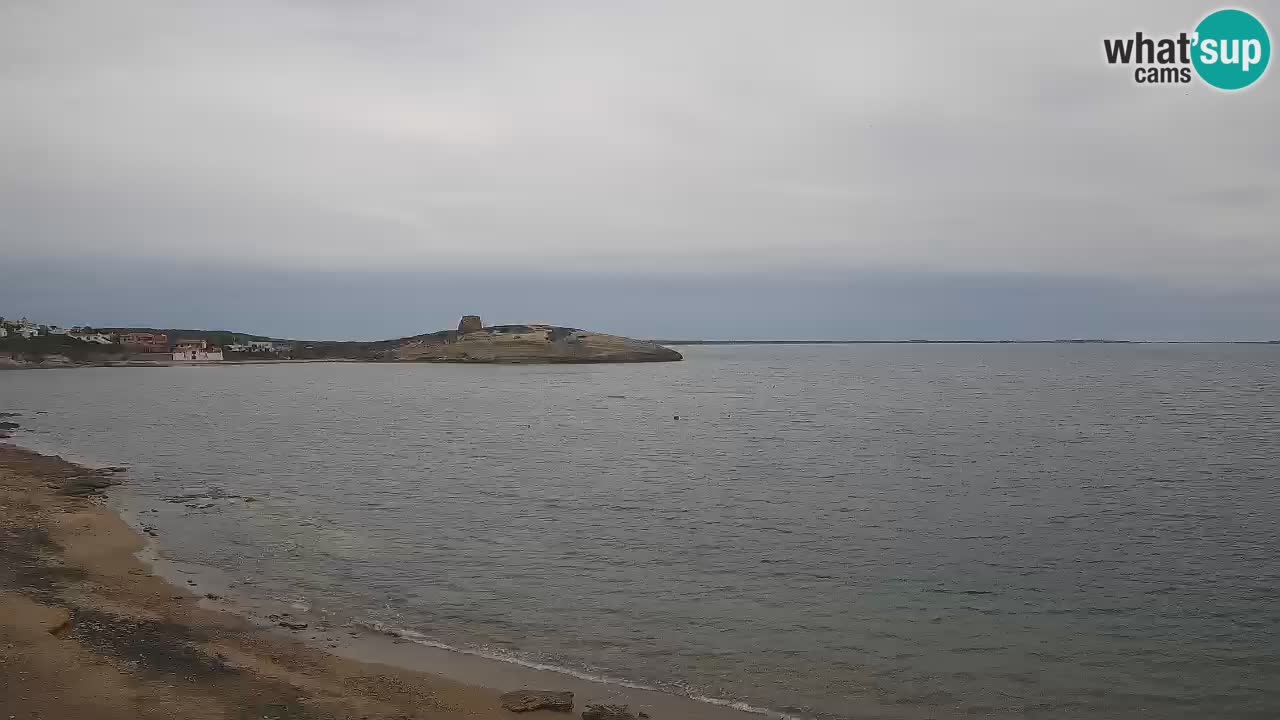 Webcam di Sarchittu: vista in tempo reale delle bellissime spiagge della Sardegna